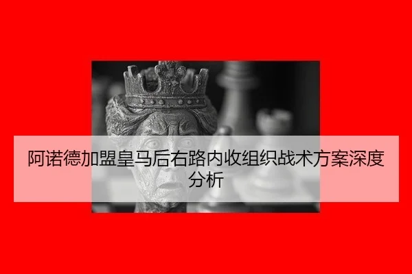 a-nuo-de-jia-meng-huang-ma-hou-you-lu-nei-shou-zu-zhi-zhan-shu-fang-an-shen-du-fen-xi-2-716.jpg