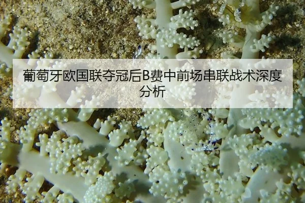 葡萄牙欧国联夺冠后B费中前场串联战术深度分析